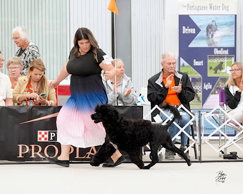 Sara Manzi at US Nationals