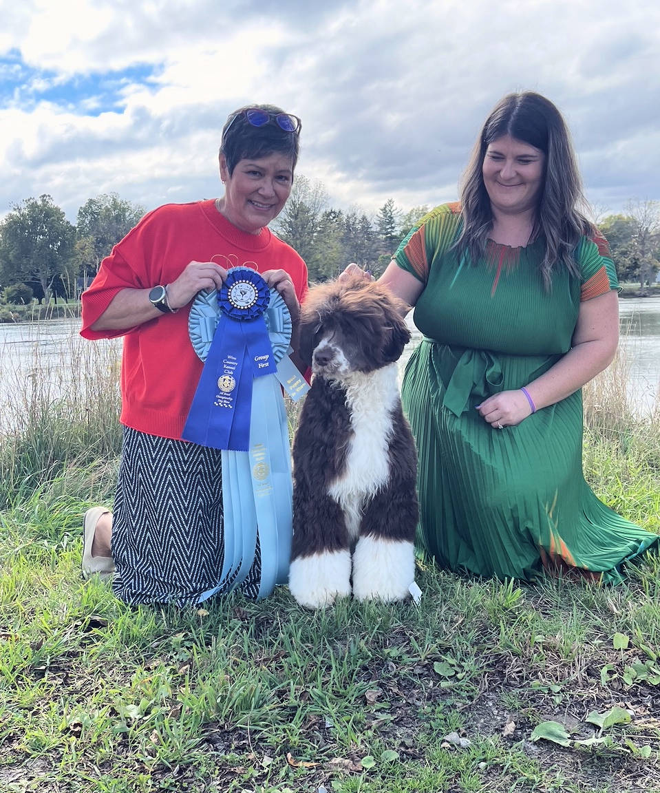 Drewsar Portuguese Water Dog News