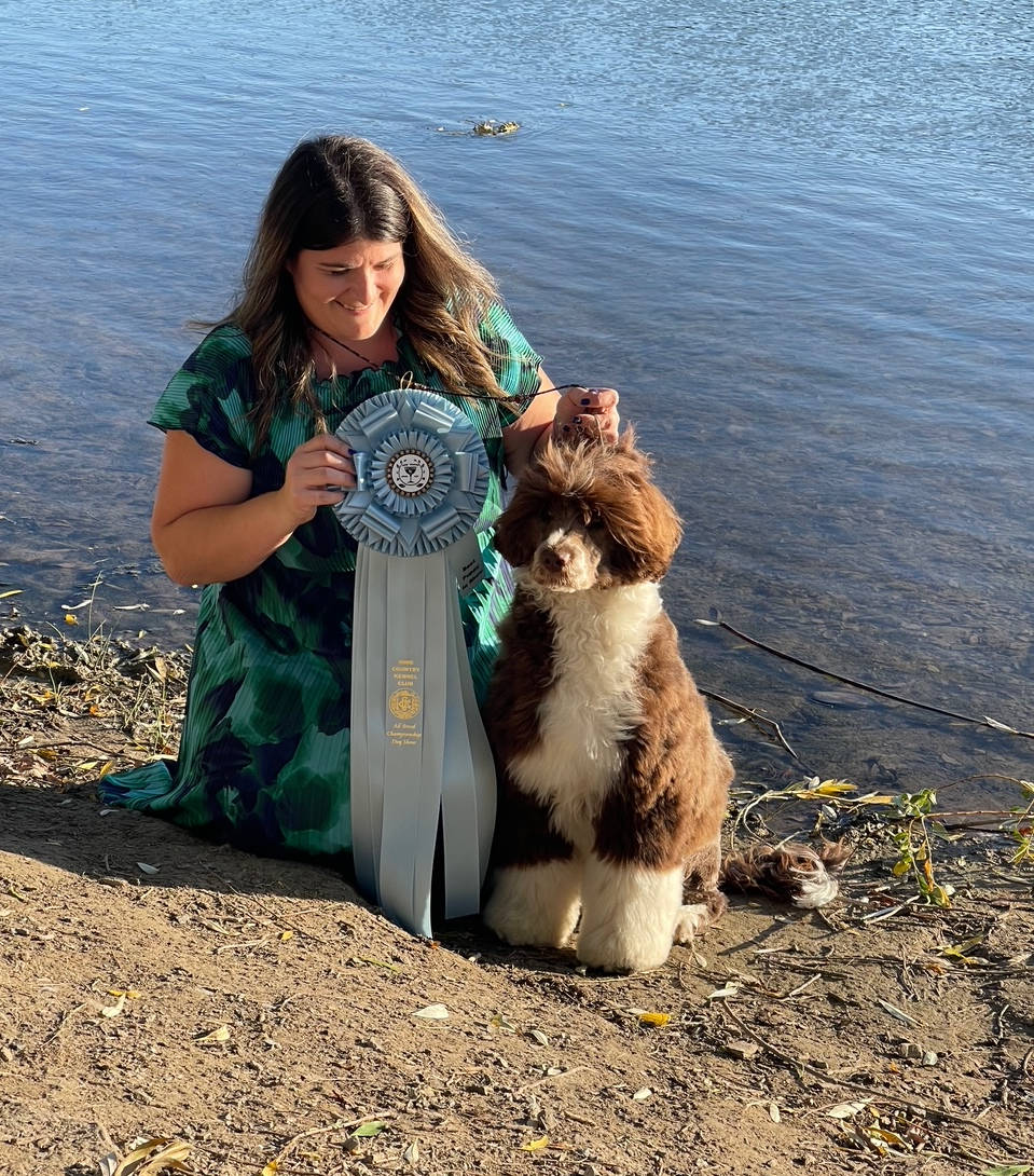 Drewsar Portuguese Water Dog News