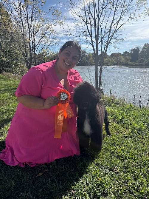 Drewsar Portuguese Water Dog News