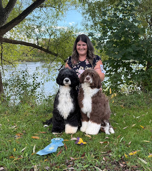 Drewsar Portuguese Water Dog News