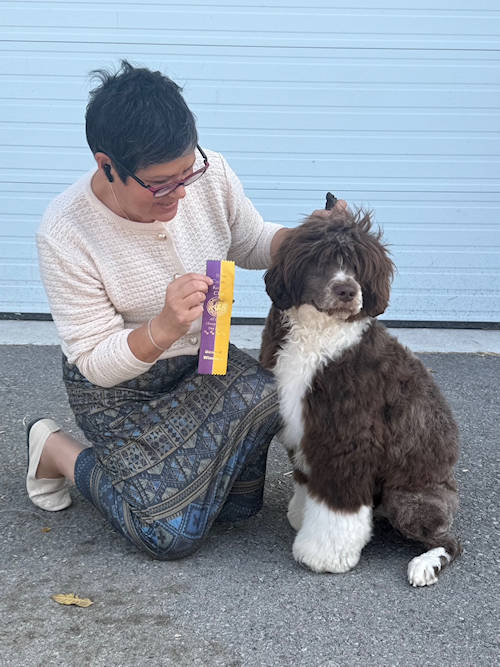 Drewsar Portuguese Water Dog News